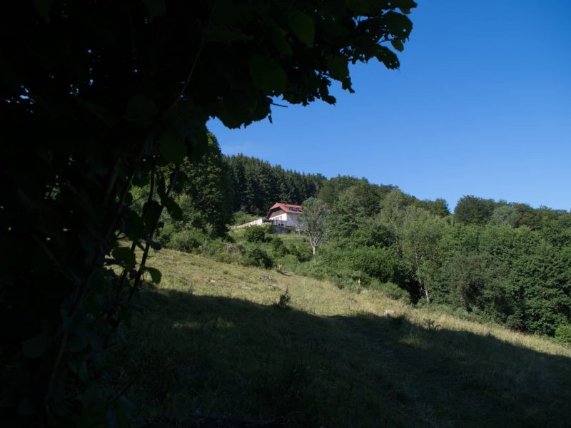 Domaine Goldenmatt - Location haut de gamme Alsace Vosges (4)