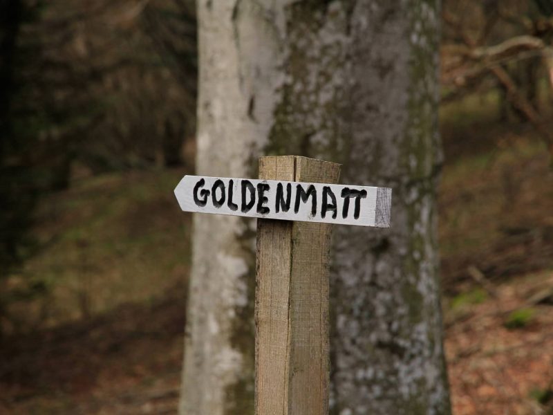 Photos extérieures 2021 - Domaine Goldenmatt (2)