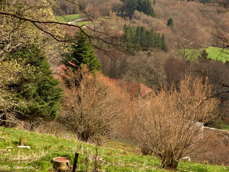 Photos extérieures 2021 - Domaine Goldenmatt (4)