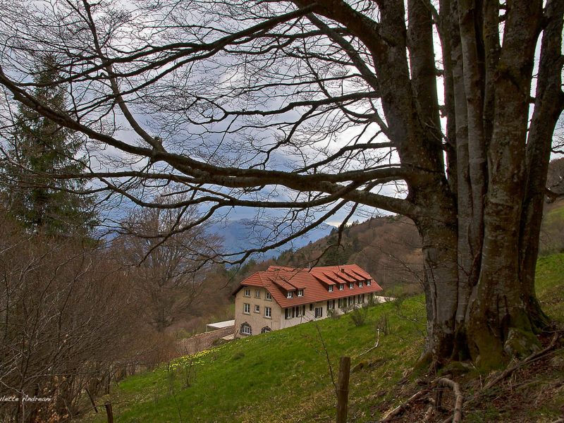 Photos extérieures 2021 - Domaine Goldenmatt (9)